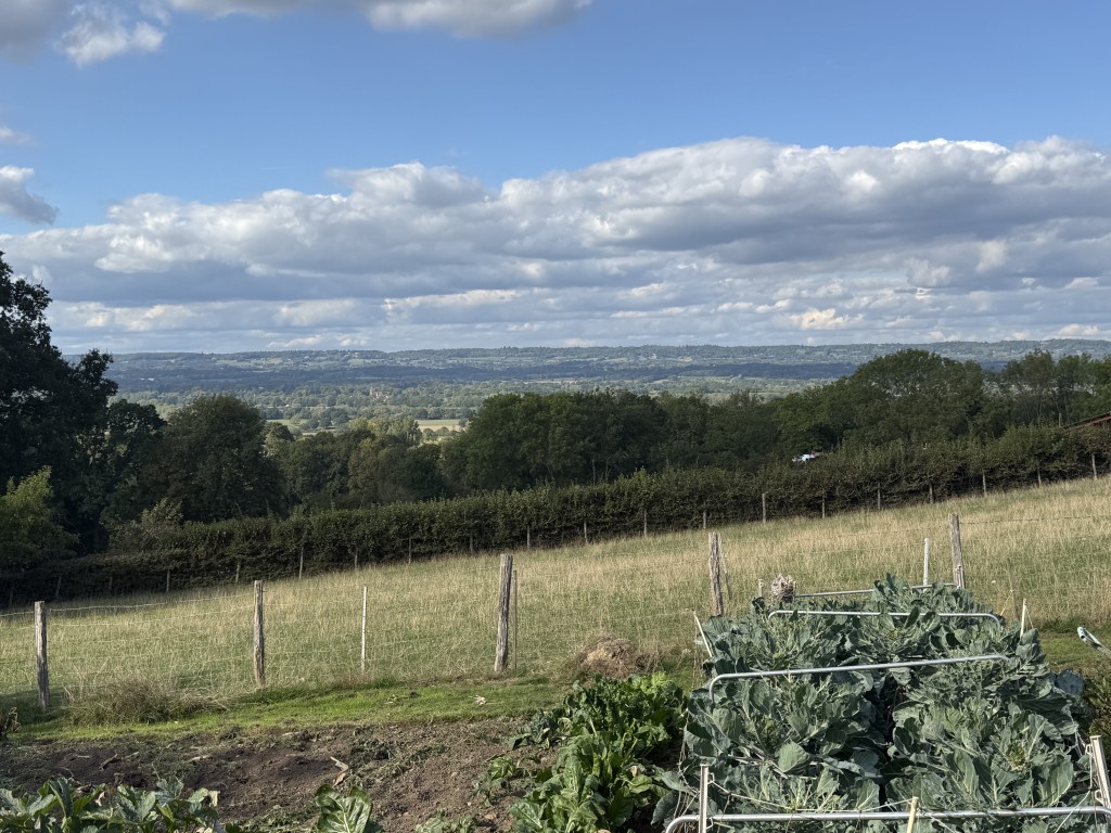 Lot: 136 - BLOCK OF FLATS FOR IMPROVEMENT ON 0.51 ACRE PLOT AND POTENTIAL FOR DEVELOPMENT - View of part of Block of Eight Flats